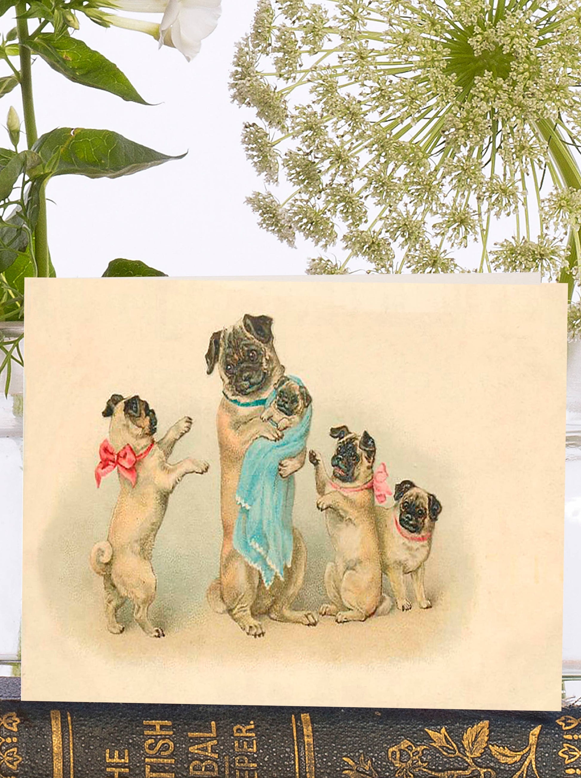 Madame Treacle vintage greeting card, parent dog & puppies, colourful bows, sustainably sourced card