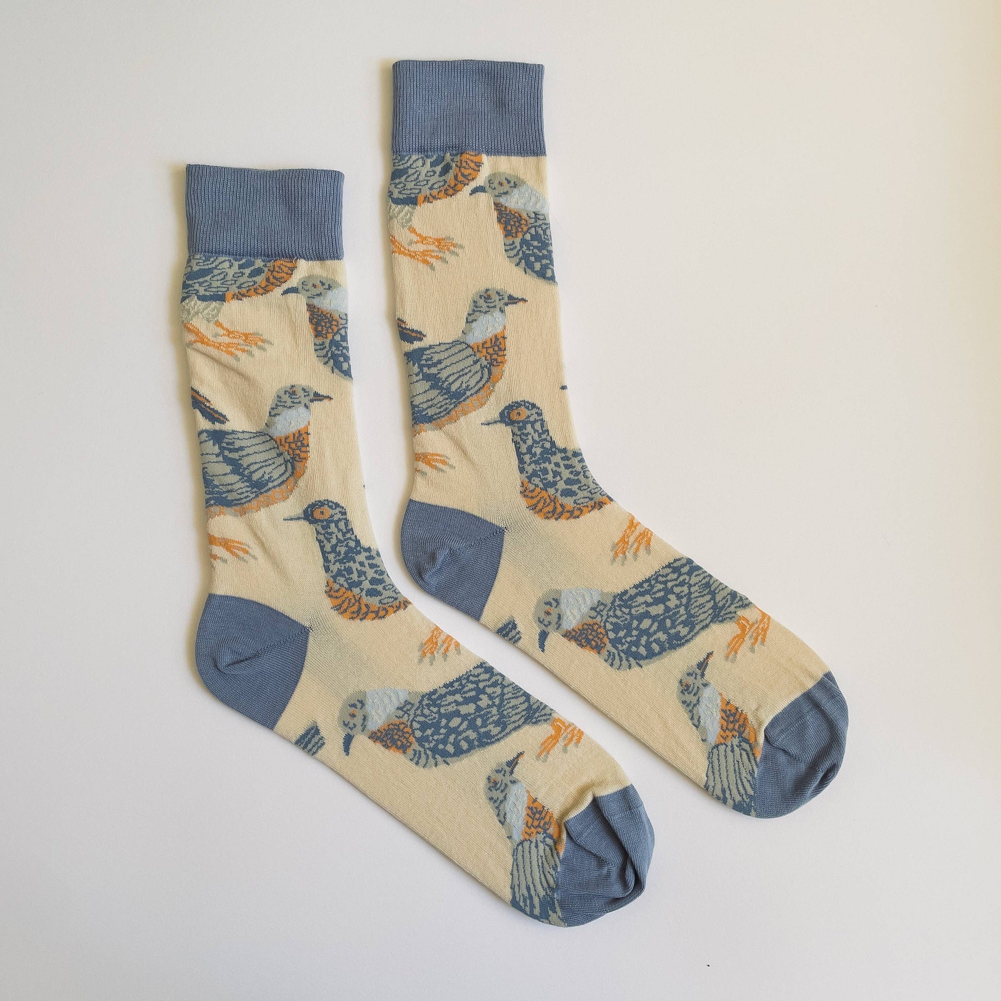 Hand-illustrated pigeon cotton socks by James Barker, unisex sizes, bold multi-colour design, fun and quirky fashion accessory for daily wear or gifts.