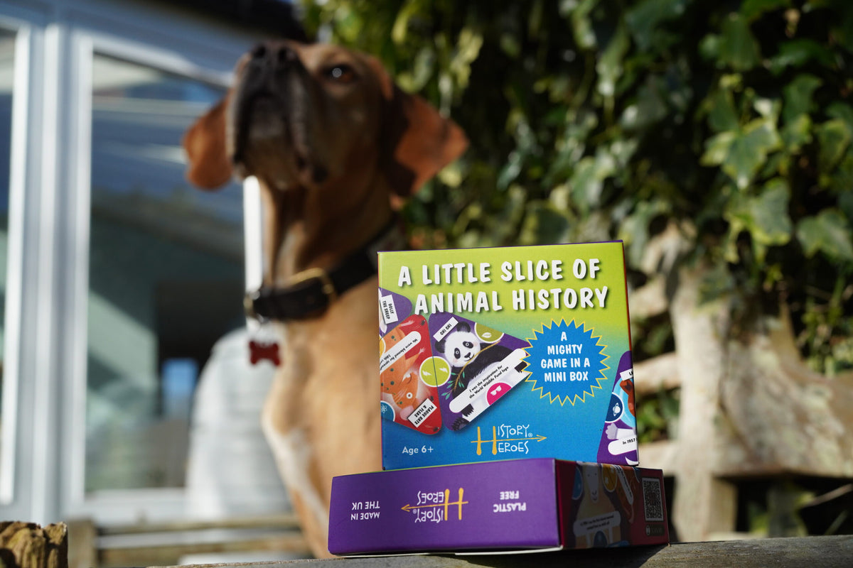 A Little Slice of Animal History card game box featuring illustrated animal heroes