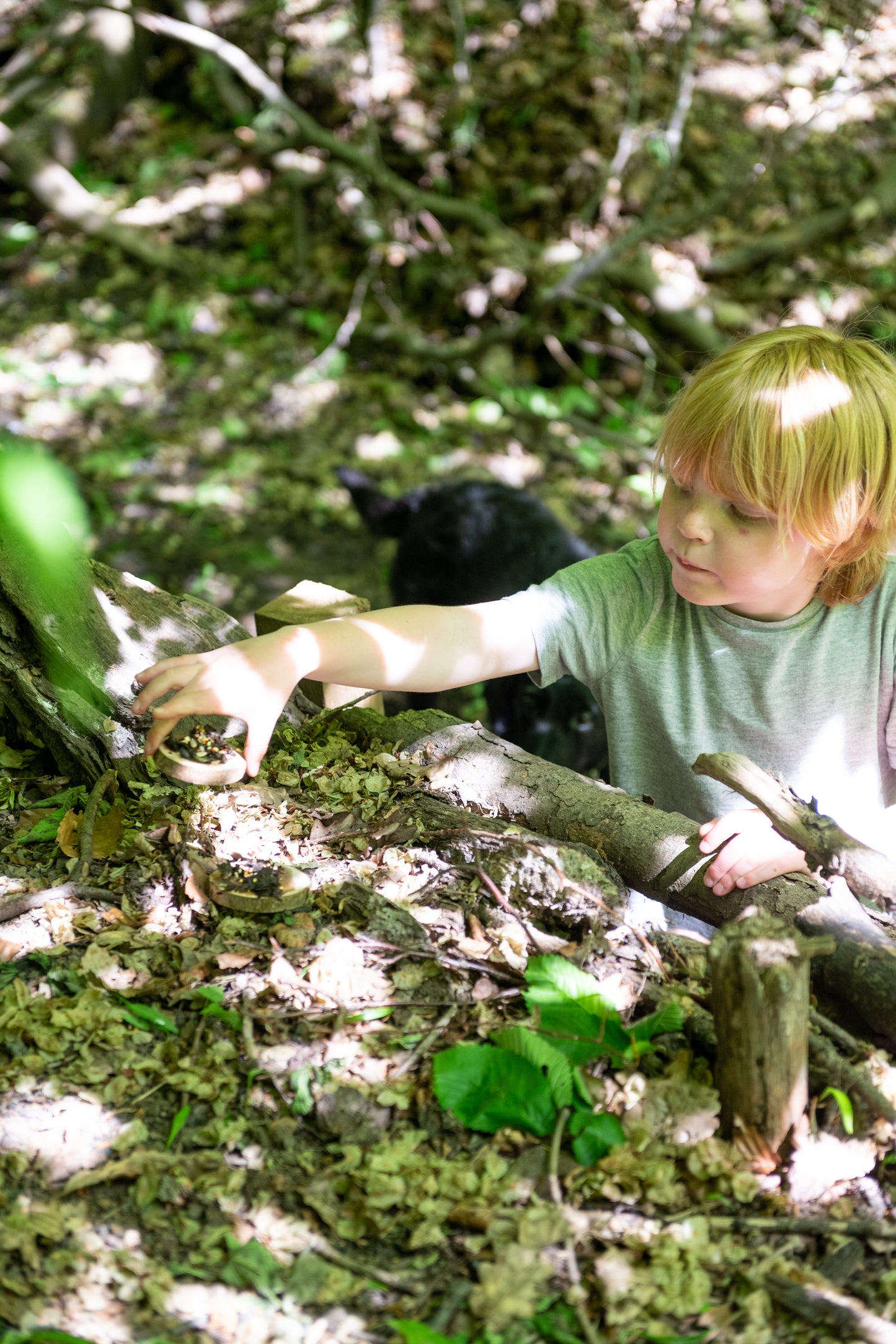 Mini Make a Pizza for the Birds Kit with wooden disk pizza bases, mini sack of mixed bird seed, and illustrated British garden bird spotter card.