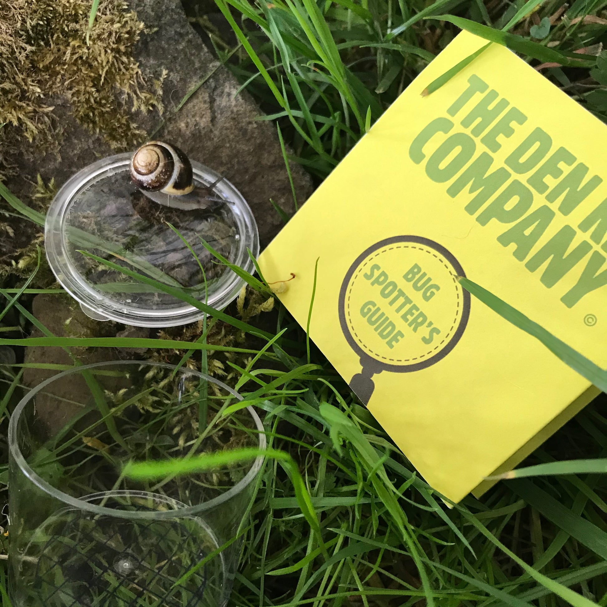 A snail crawls along the lid of the bug spotters jar, along with the yellow Bug Spotter's Guide.