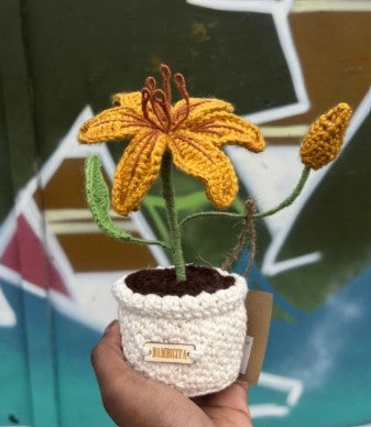 Close-up detail of GOTS-certified crochet flower pot