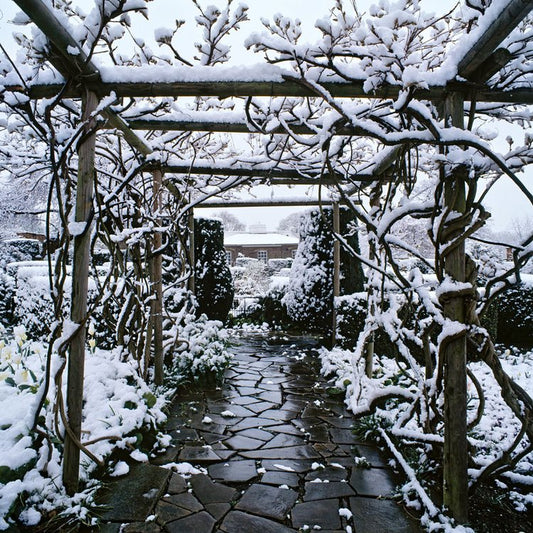 Brockwell Park Seasonal Greeting Card, sustainably sourced design