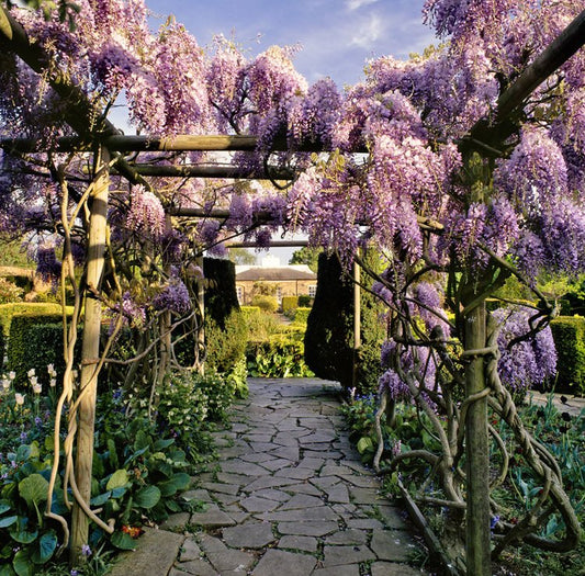 Brockwell Park Seasonal Greeting Card, original photography by Max A Rush