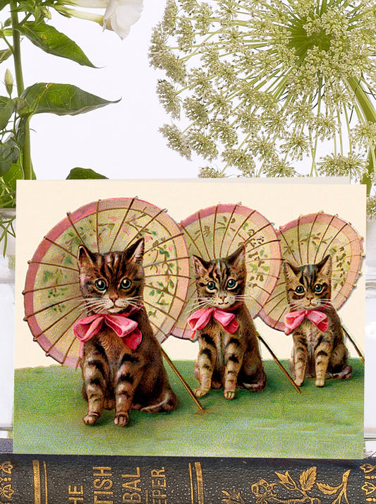 Adorable Vintage Three Kittens Greeting Card | Sustainably Sourced