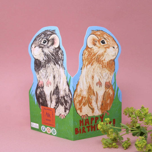 Guinea pig shaped greeting card with blue recycled envelope