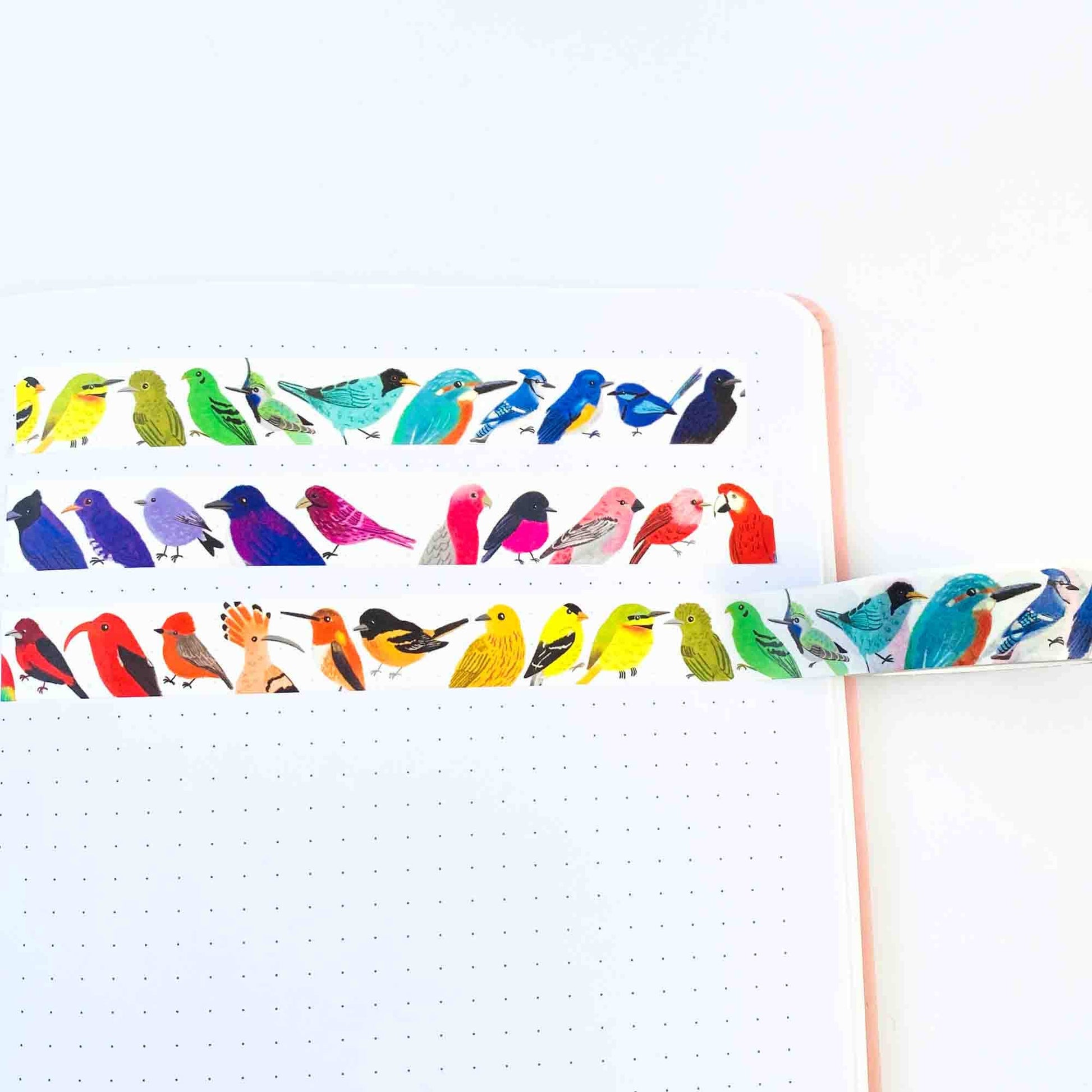 Sarah Frances Bird Rainbow Washi Tape, hand-illustrated birds, 15mm x 10m roll, eco-friendly craft and stationery tape.
