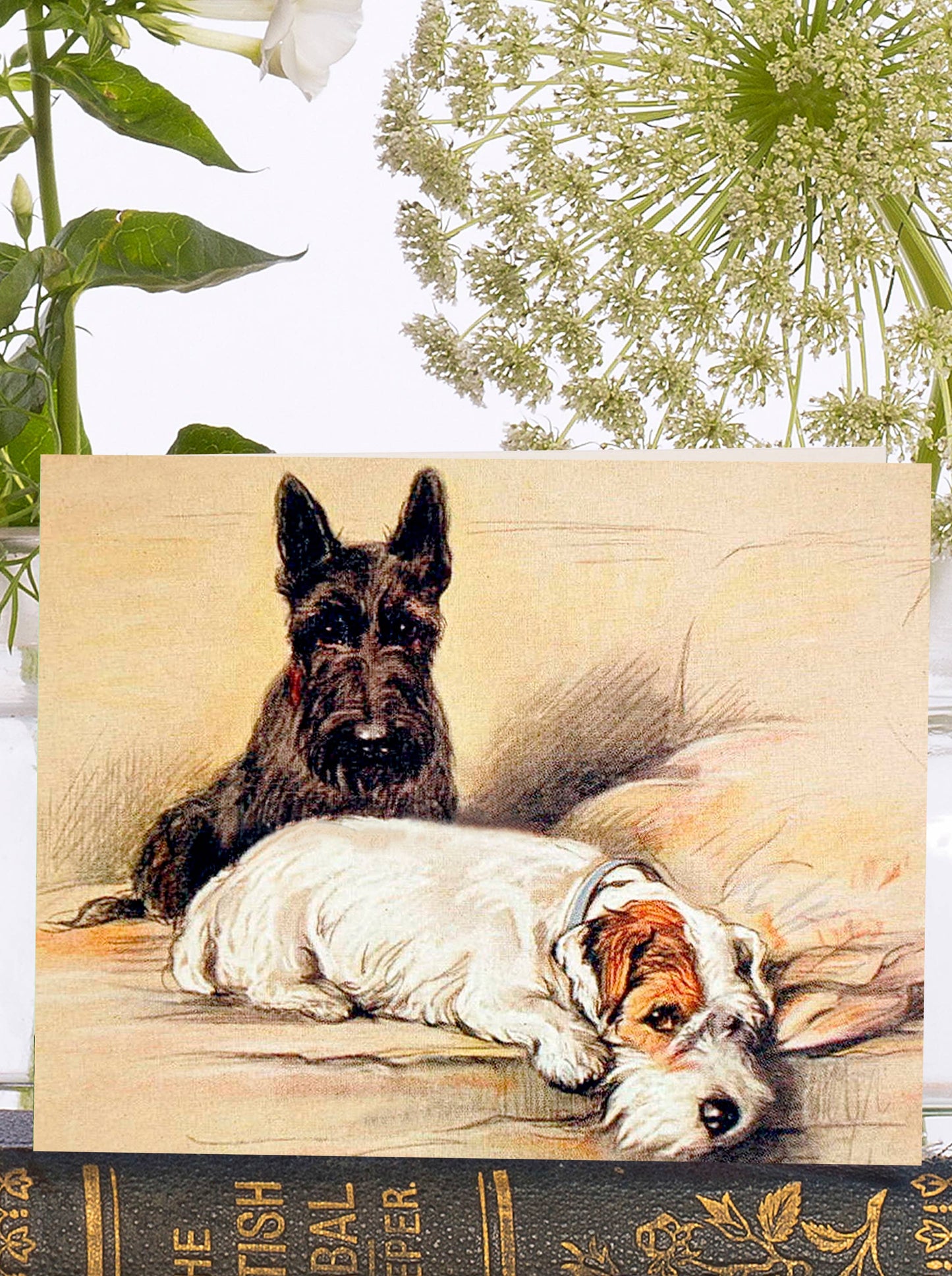 Little Vintage Greeting Card with sustainably sourced ivory envelope
