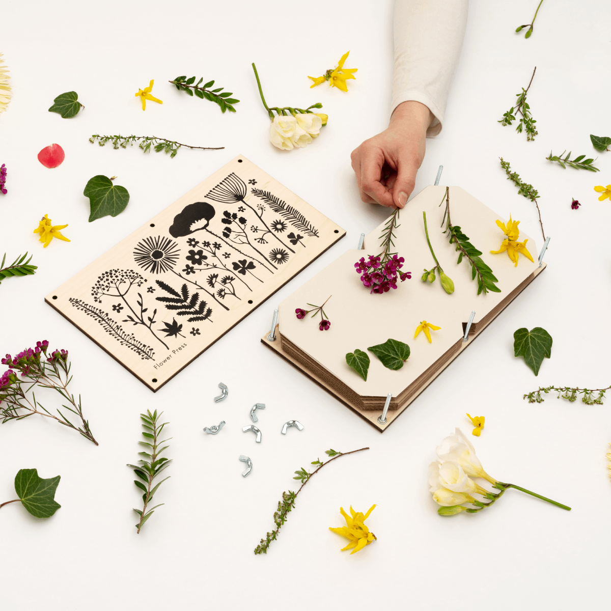 Studio Wald have supersized their flower press! This double length and double thickness press will hold even more blooms and will also accommodate stems and leaves for a more varied collection. Featuring a stylish monochrome print the press comes complete with 8 sheets of corrugated card and 14 of sugar paper.