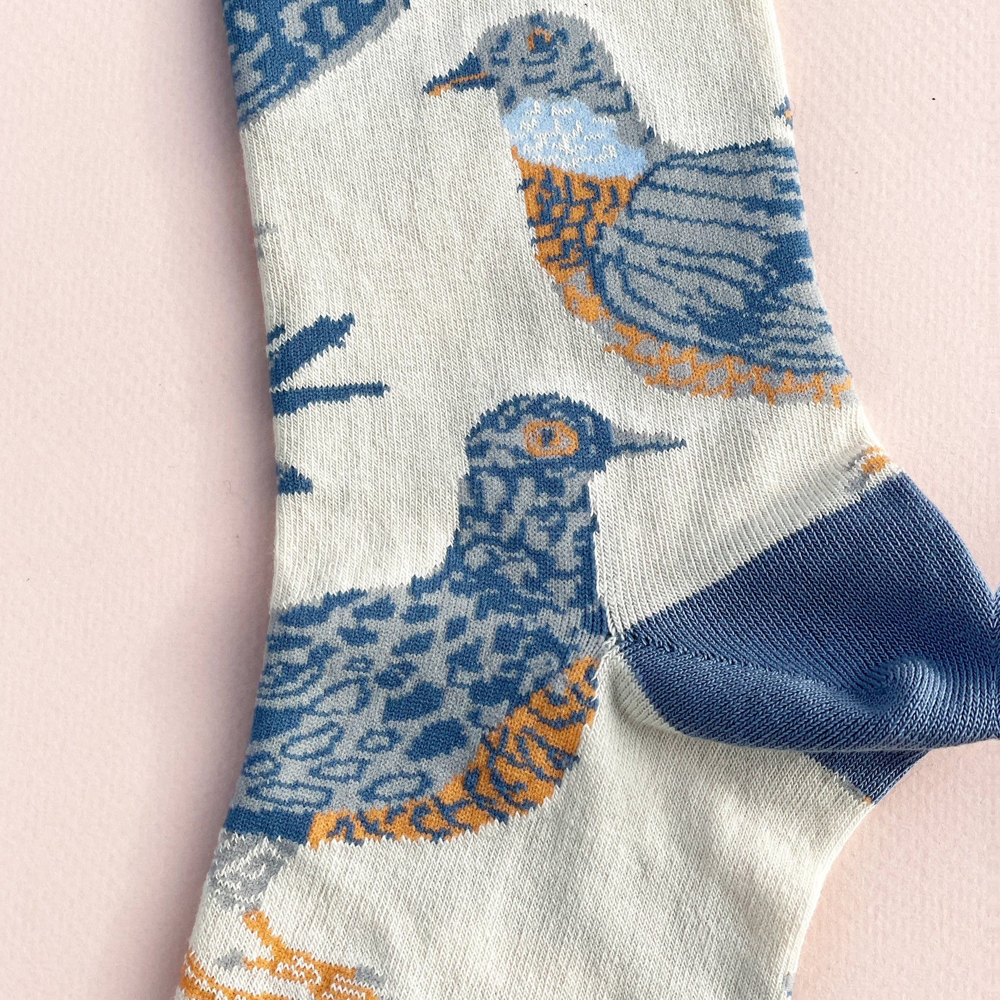 Hand-illustrated pigeon cotton socks by James Barker, unisex sizes, bold multi-colour design, fun and quirky fashion accessory for daily wear or gifts.