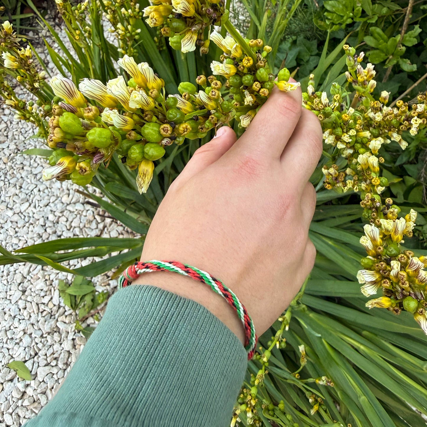 Eco-friendly DIY bracelet making kit components spread out