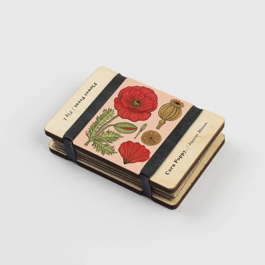Vintage Corn Poppy Pocket Flower Press by Forget Me Not & Green