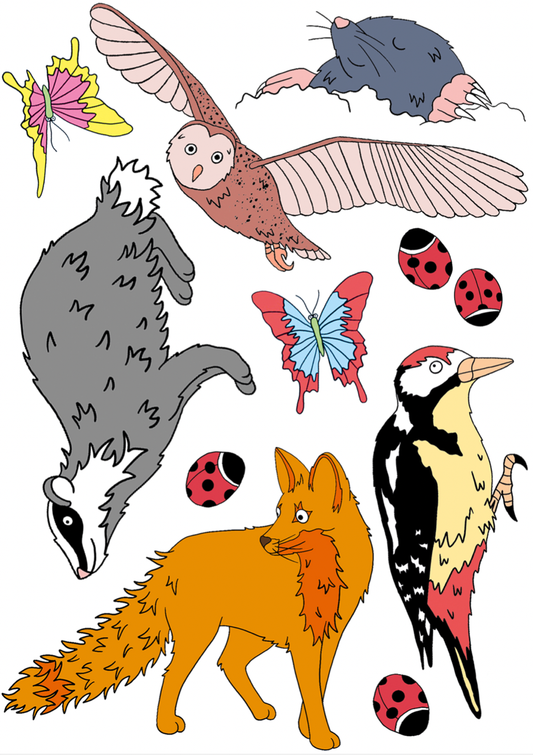 Pack of Woodland Wildlife Transfer Tattoos with application instructions, designed by Neon Magpie, made in the UK.