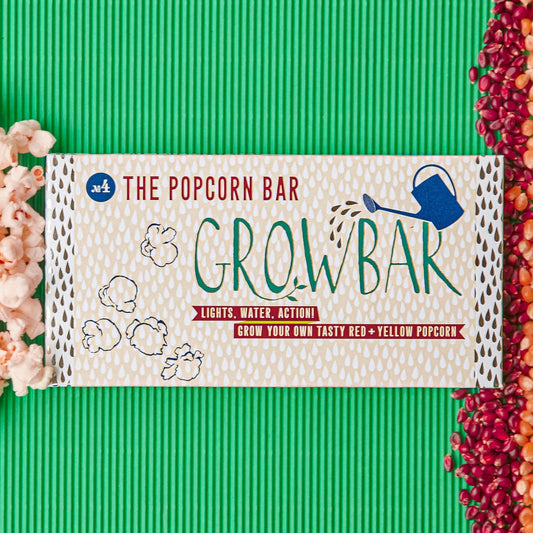 Popcorn Growbar with compressed coir bar, red corn seeds, yellow corn seeds; simple kit for growing and popping your own popcorn.
