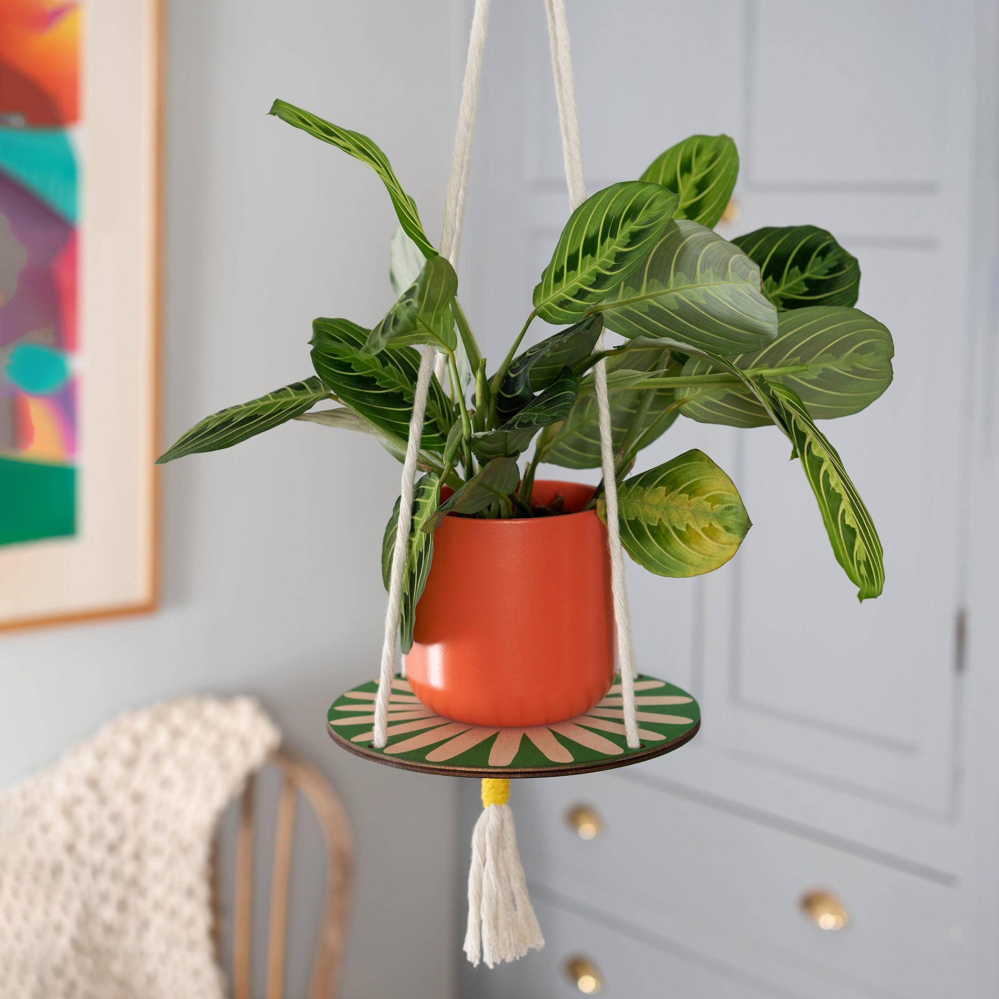 Daisy screenprinted wooden plant hanger in green