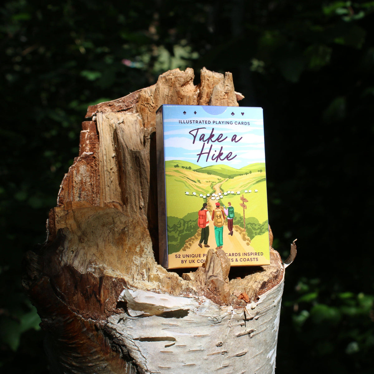Take a Hike playing cards spread out showing unique designs