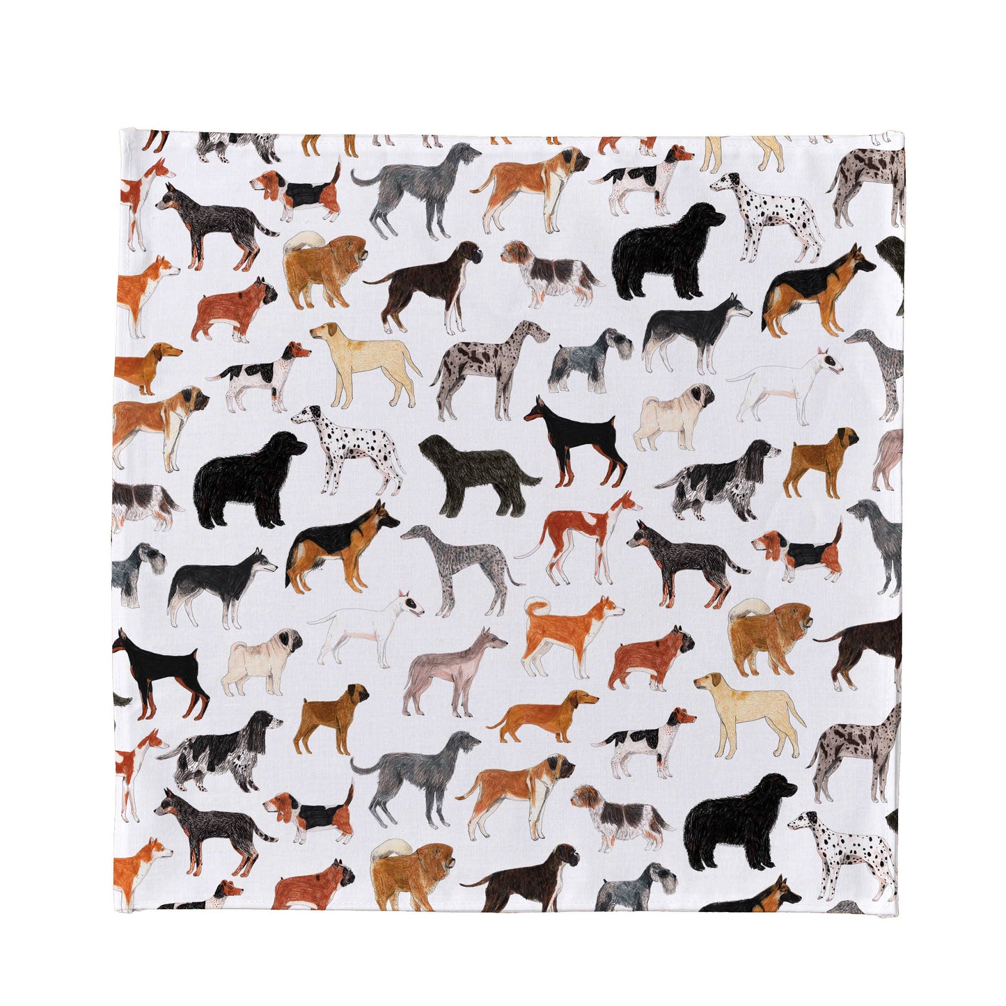 Dogs handkerchief pocket square with repeat pattern of vibrant dog breed illustrations on poplin cotton, designed in London studio.