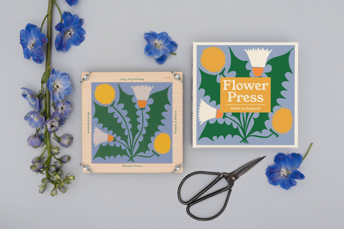 Studio Wald Dandelion flower press made with maple veneer board, 15x15cm, eco packaging.