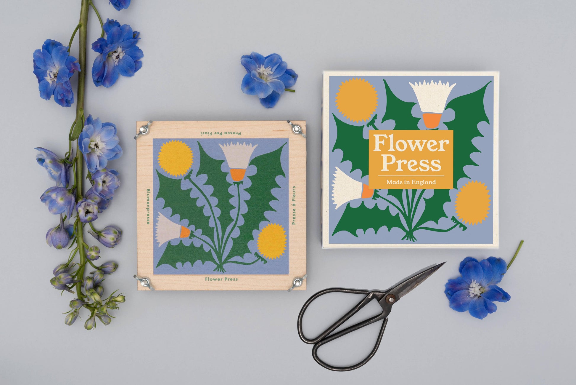 Studio Wald Dandelion flower press made with maple veneer board, 15x15cm, eco packaging.