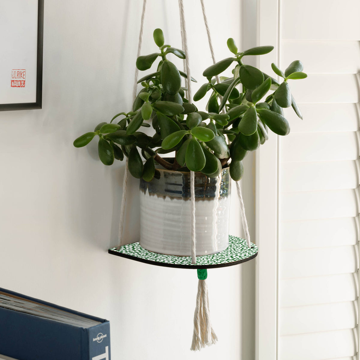 Forget Me Not Green Hanging Plant Shelf Macrame against wall