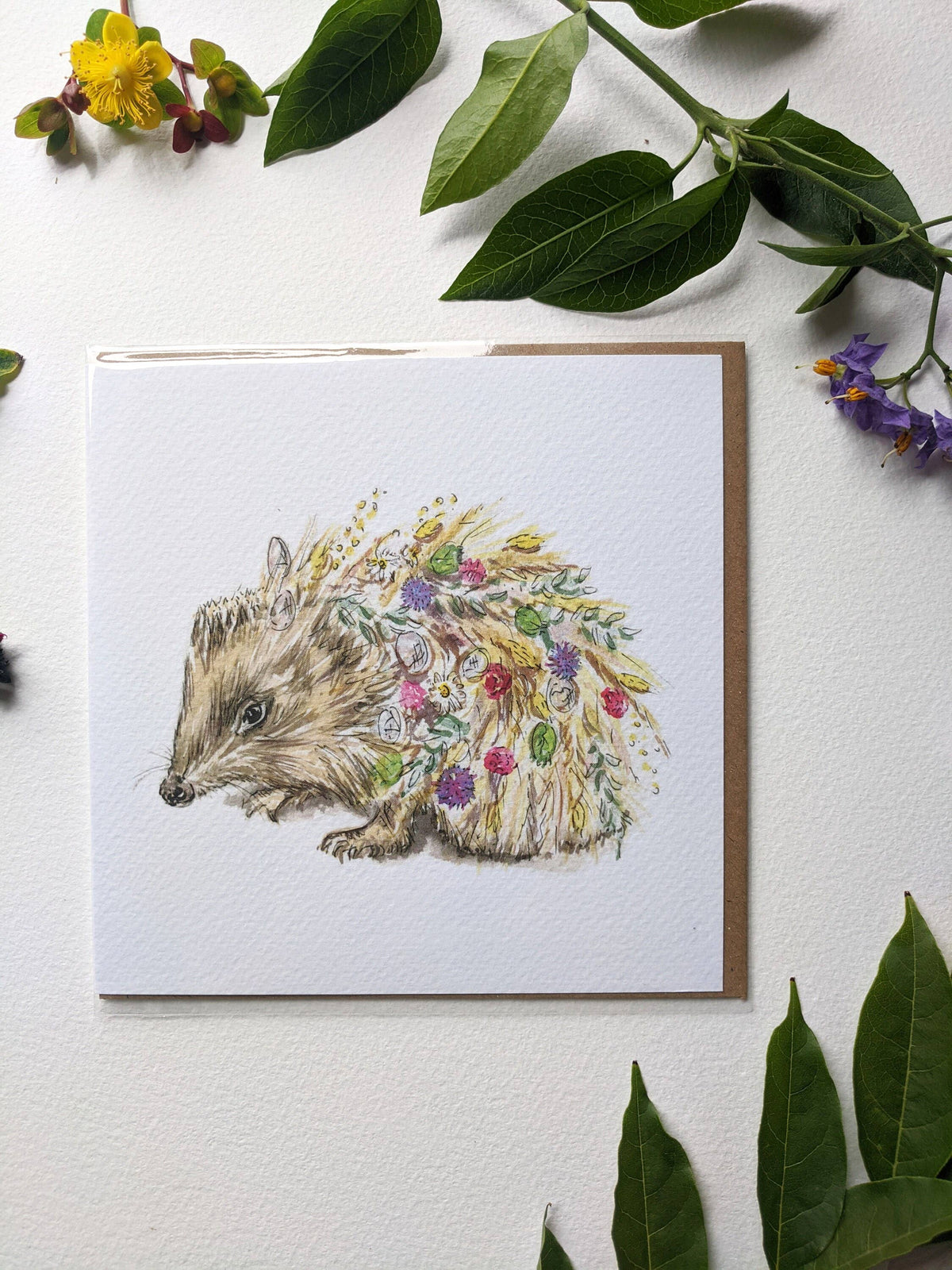 Biodegradable sleeve packaging for the hedgehog card