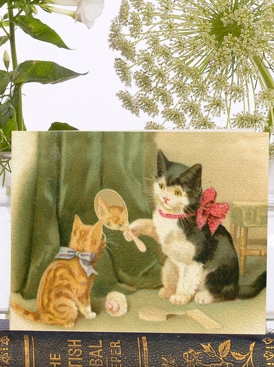Little vintage greeting card featuring two cats with a mirror, vintage illustration style, 9x12cm, sustainably sourced ivory envelope, made in England.