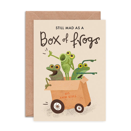 Colourful A6 greeting card featuring whimsical ‘mad as a box of frogs’ illustration by Emily Nash, paired with a recycled kraft envelope.