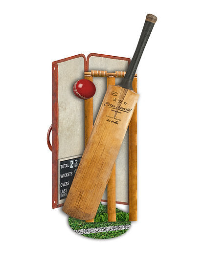 Cricket stand-up greeting card featuring detailed illustration of cricket match