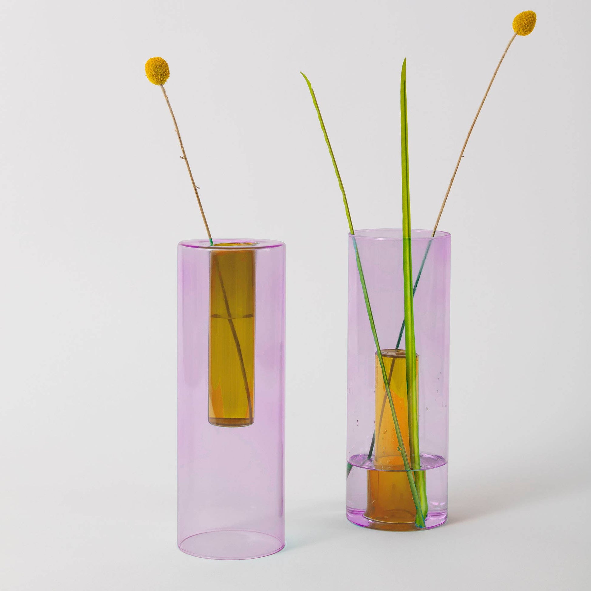 Two tall, transparent vases with a pink tint filled with water and green plants on a white background