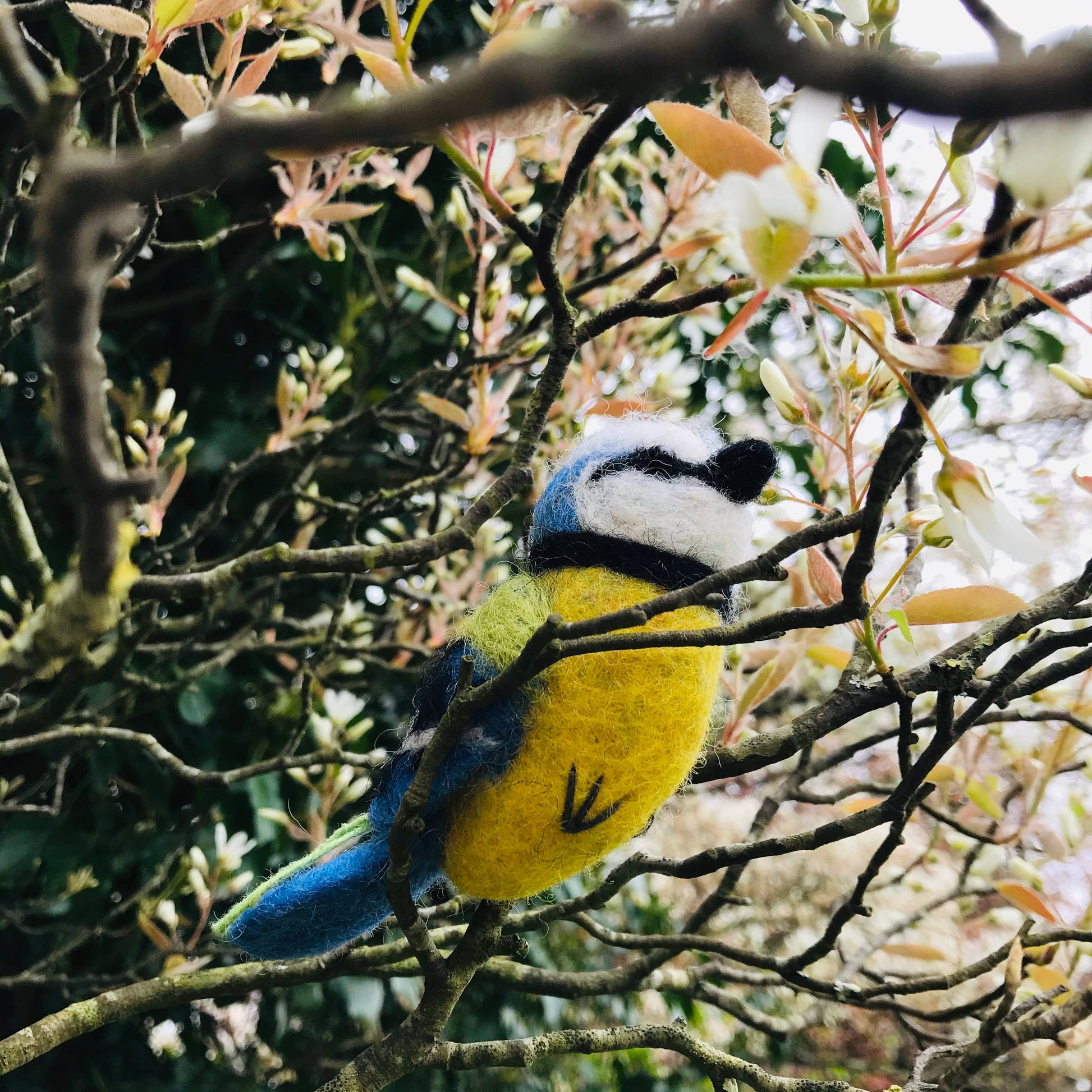 Bella the Blue Tit Easter Hanging Decoration
