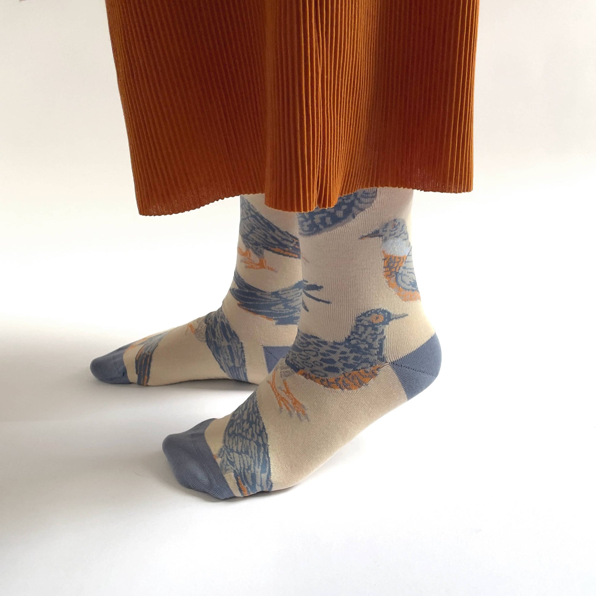 Hand-illustrated pigeon cotton socks by James Barker, unisex sizes, bold multi-colour design, fun and quirky fashion accessory for daily wear or gifts.