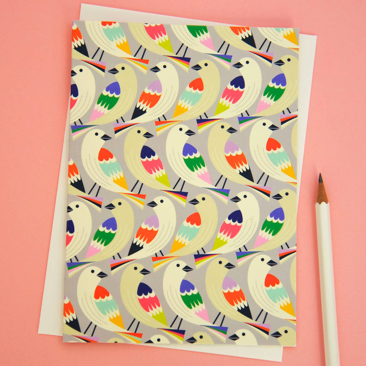 Birds in a Row colourful illustrated greeting card