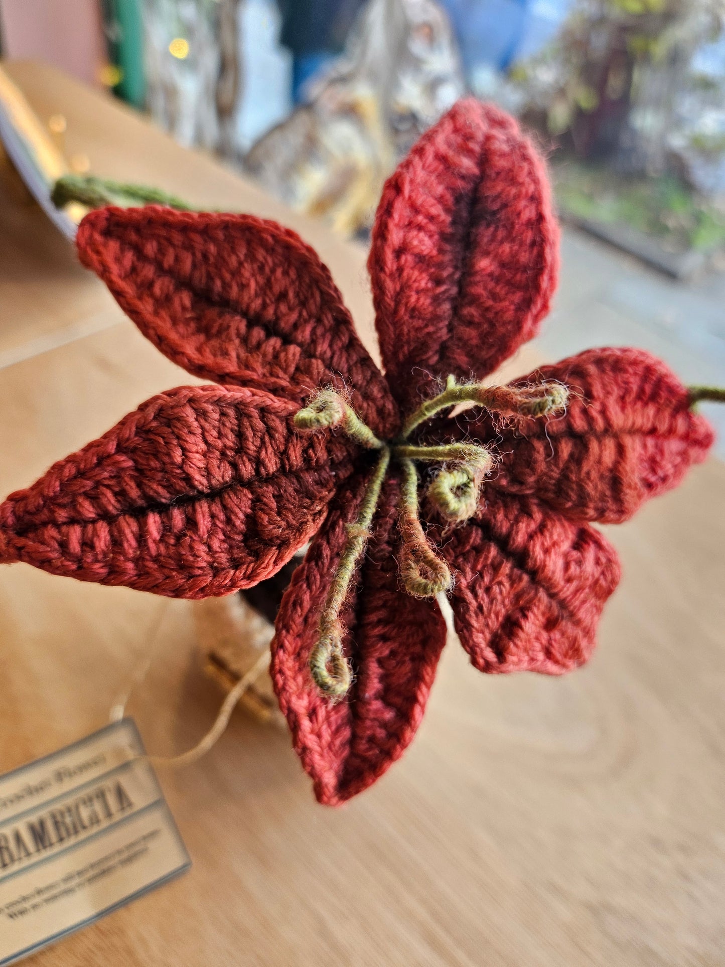 Intricate crochet petals of an everlasting flower