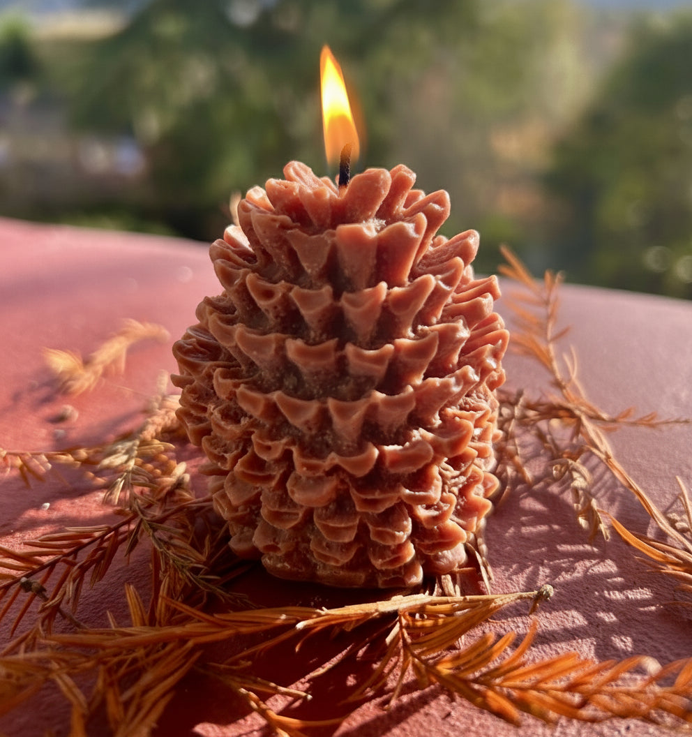 Assortment of Kind As Folk Handmade Soy Wax Christmas Tree and Pine Cone Candles