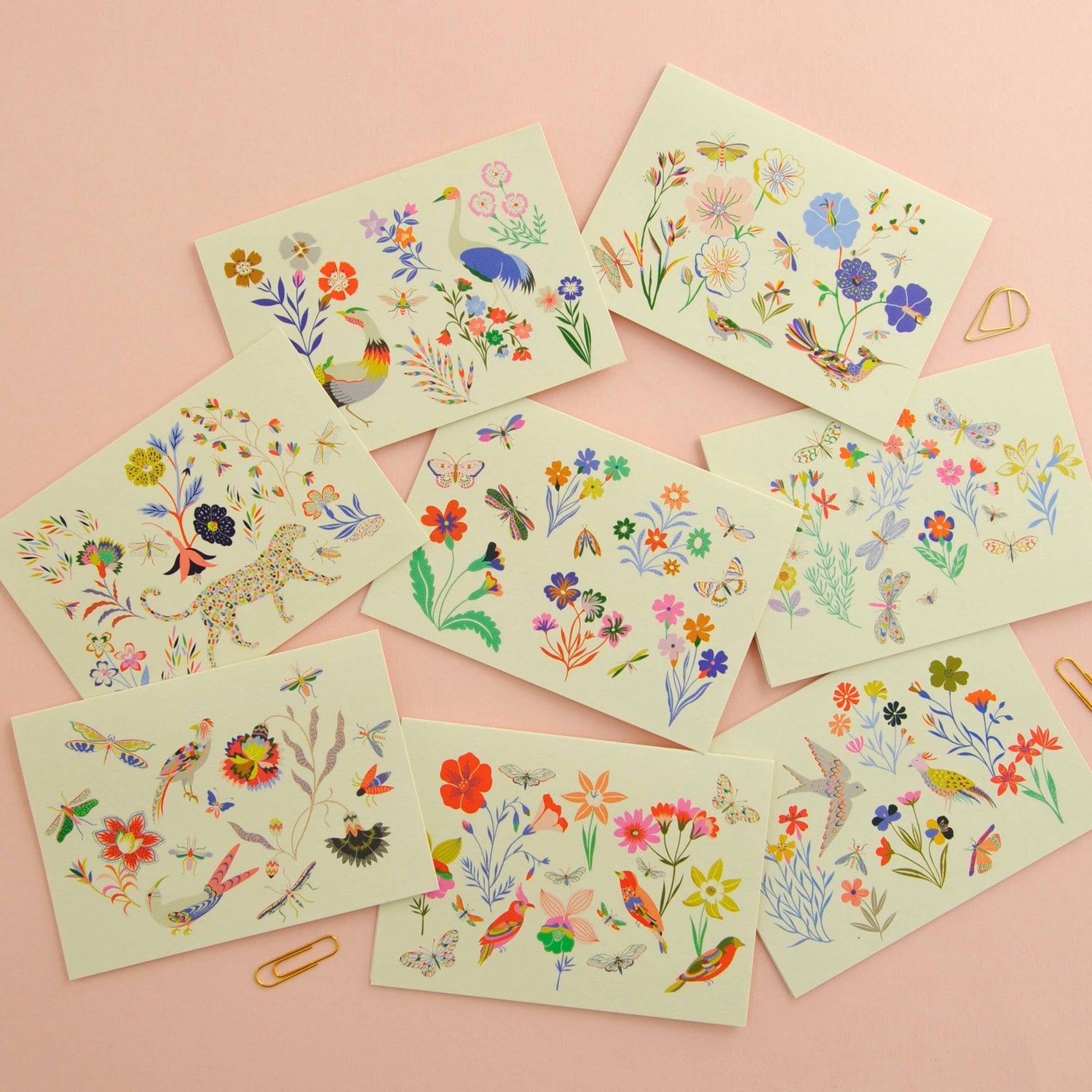 Birds & Bees Illustrated Notecard Set with Ribbon | Forget Me Not & Green