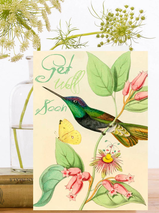 Green Humming Bird Get Well Soon Card