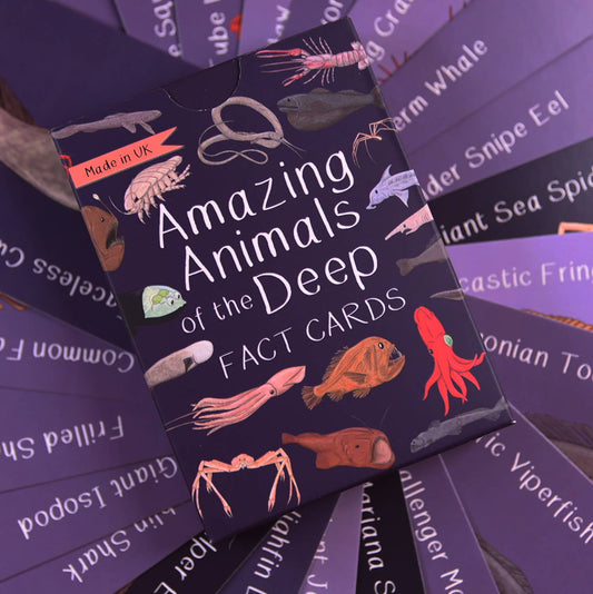 Amazing Animals of the Deep Fact Cards