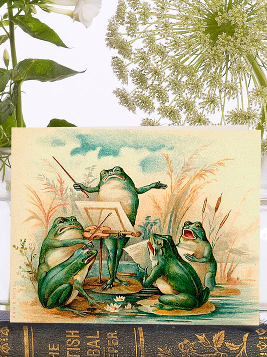 The Frog Chorus Little Vintage  Greeting Card