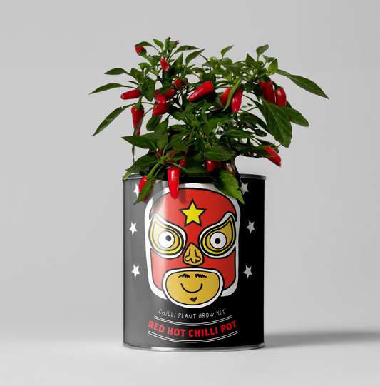 Red Hot Chilli Pot. Grow Your Own Plant Kit
