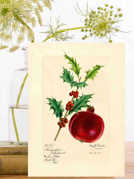 Pomegranate Christmas Card, vintage collage style illustration on sustainably sourced card with recyclable sleeve and ivory envelope, 5 x 7 inches, eco-friendly Christmas greeting card