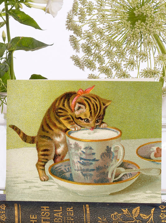 Kitty - Little Vintage Greeting Card